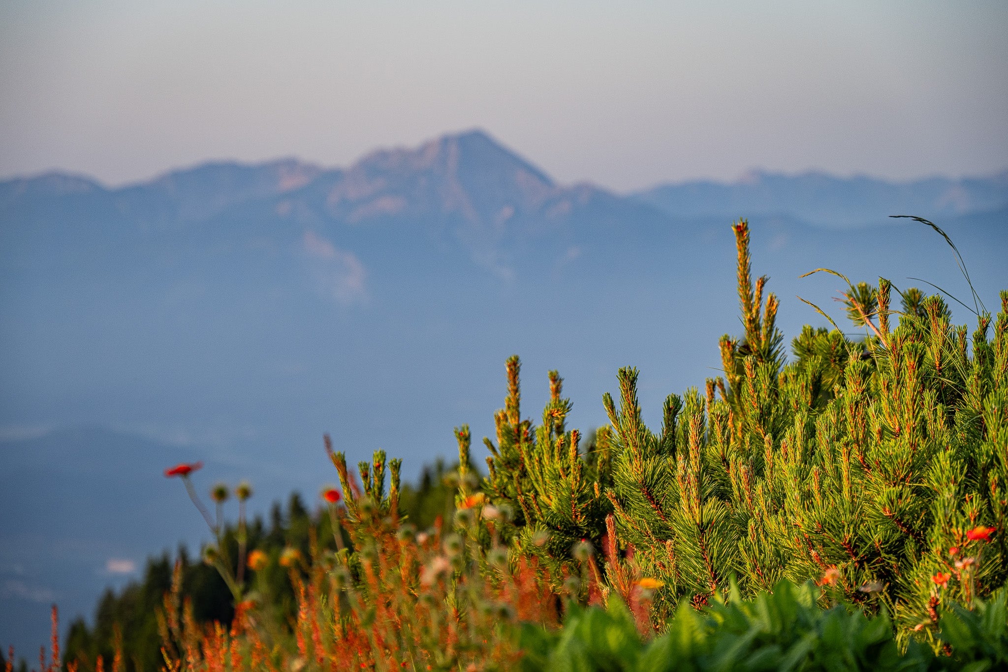 Before the Day - Visiting This World