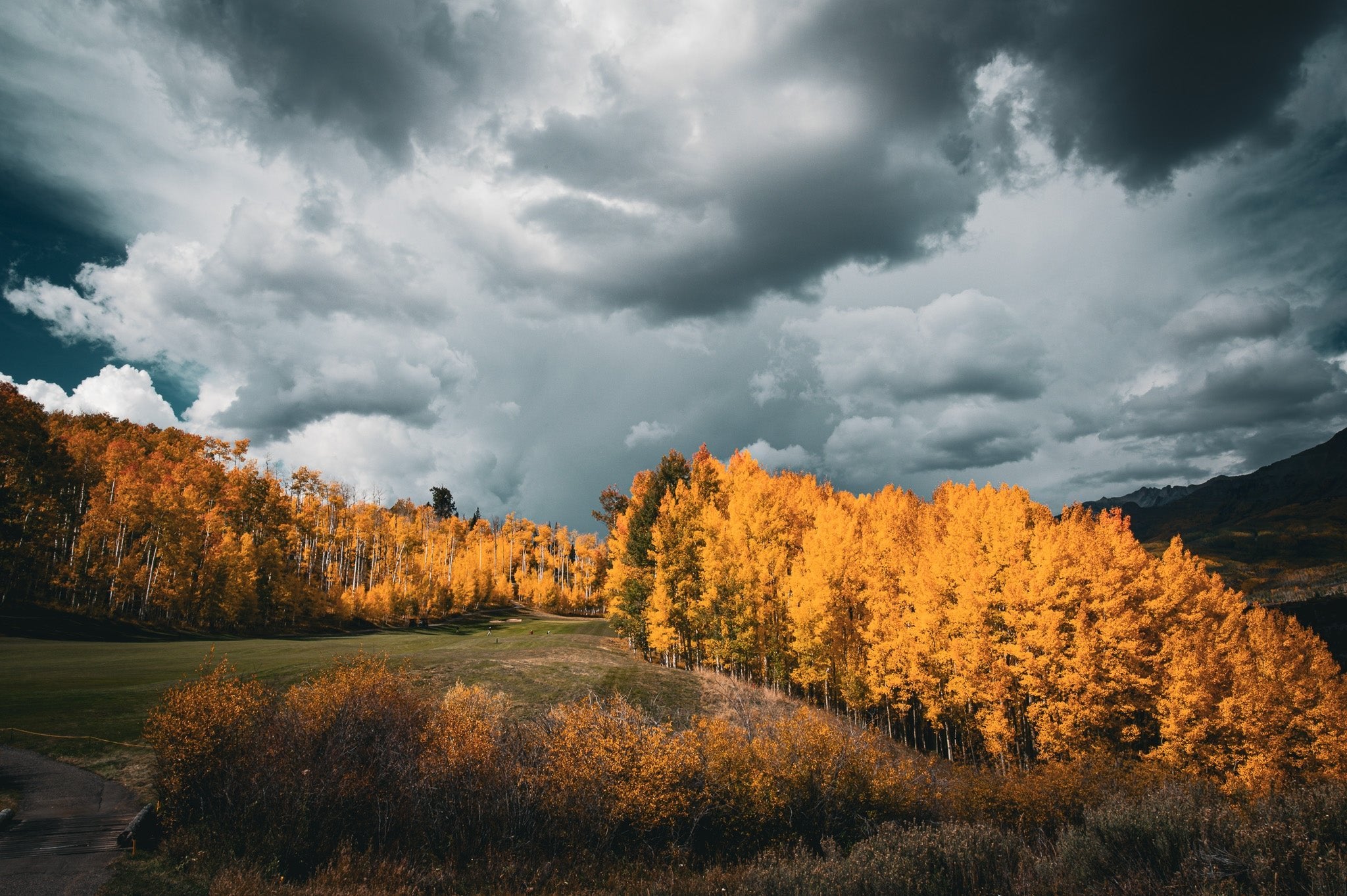 Courage - Visiting This World