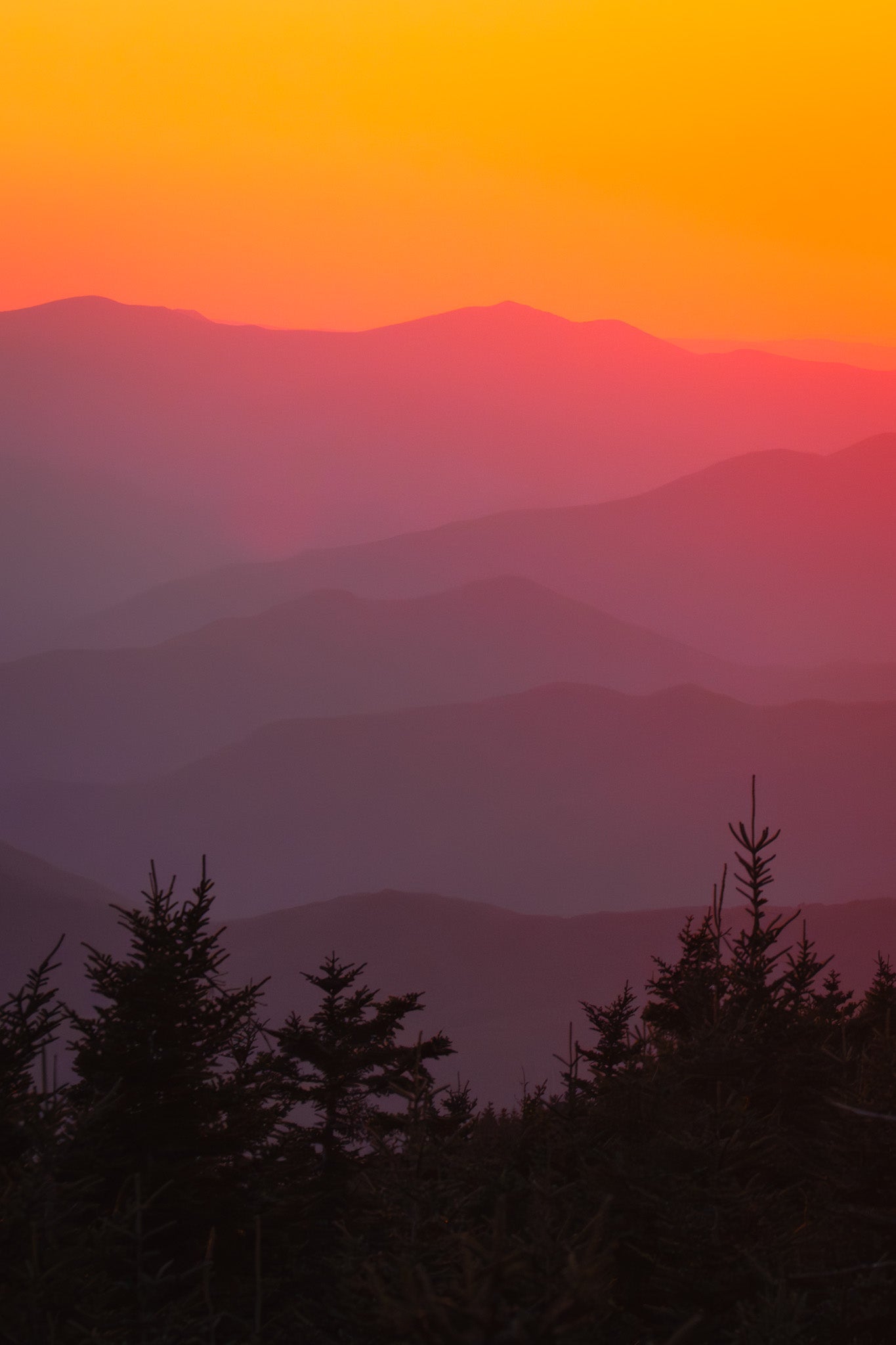 Finally - Visiting This World