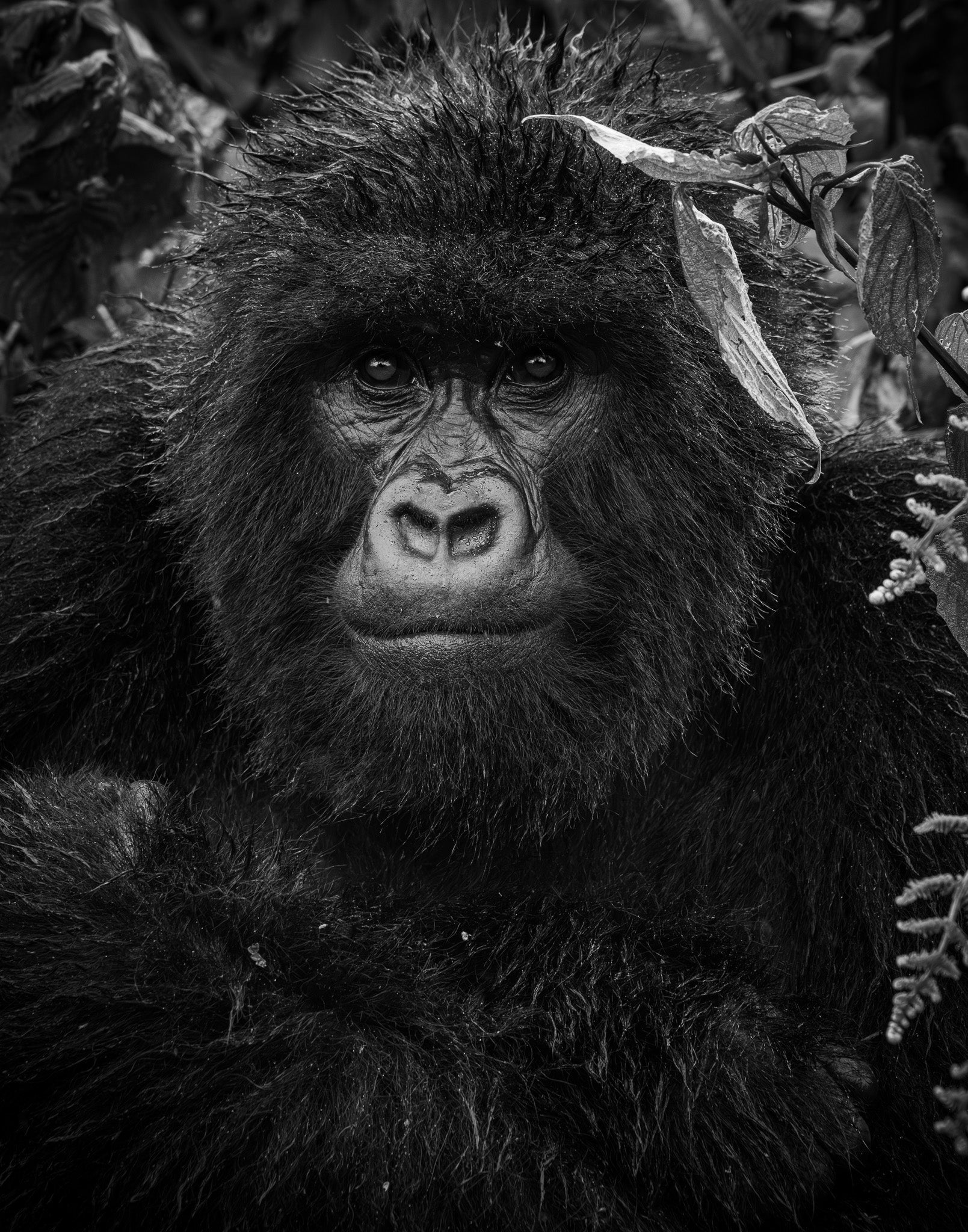 III. Endurance - Visiting This World