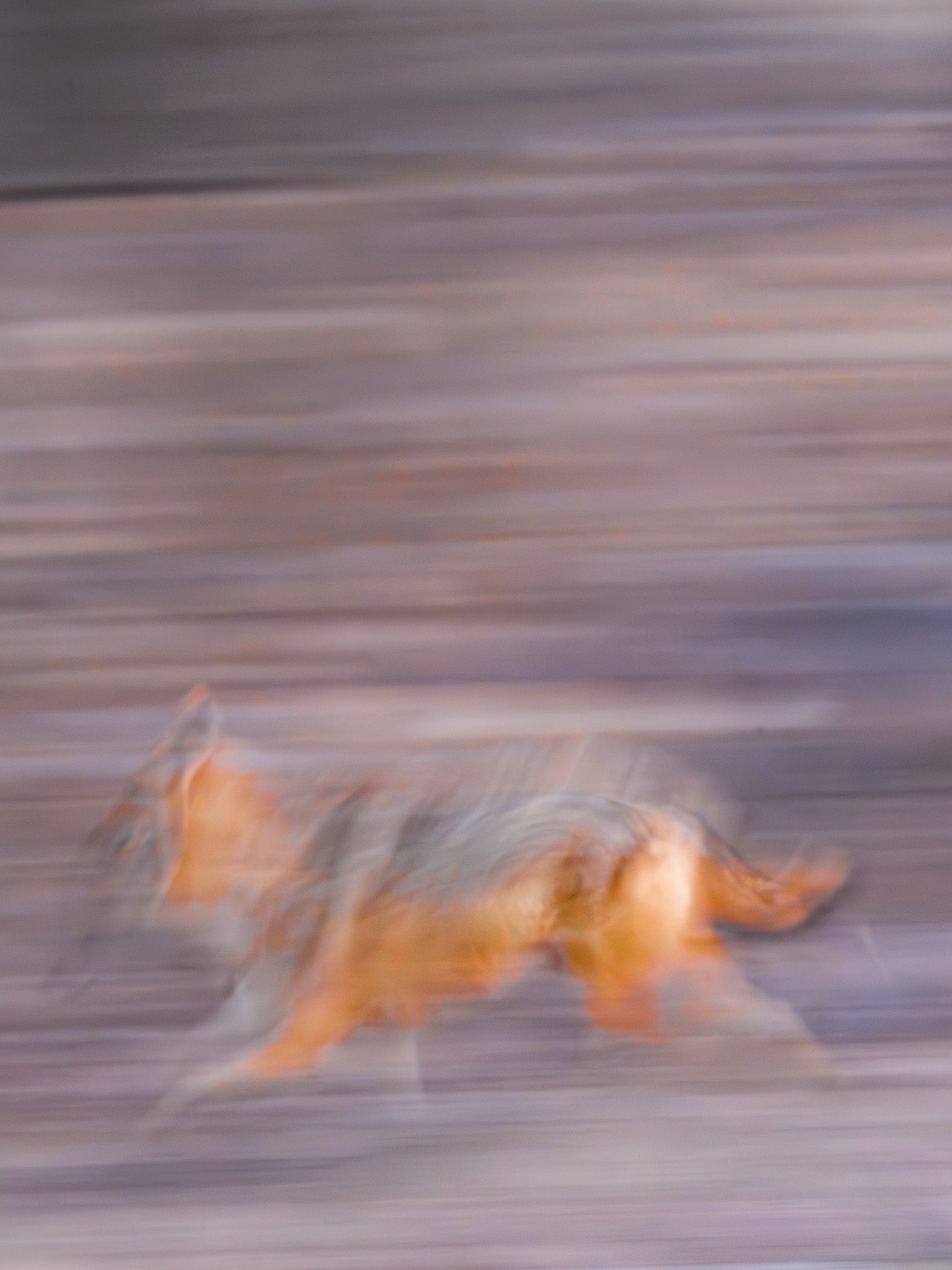 Passing Through Gold - Visiting This World