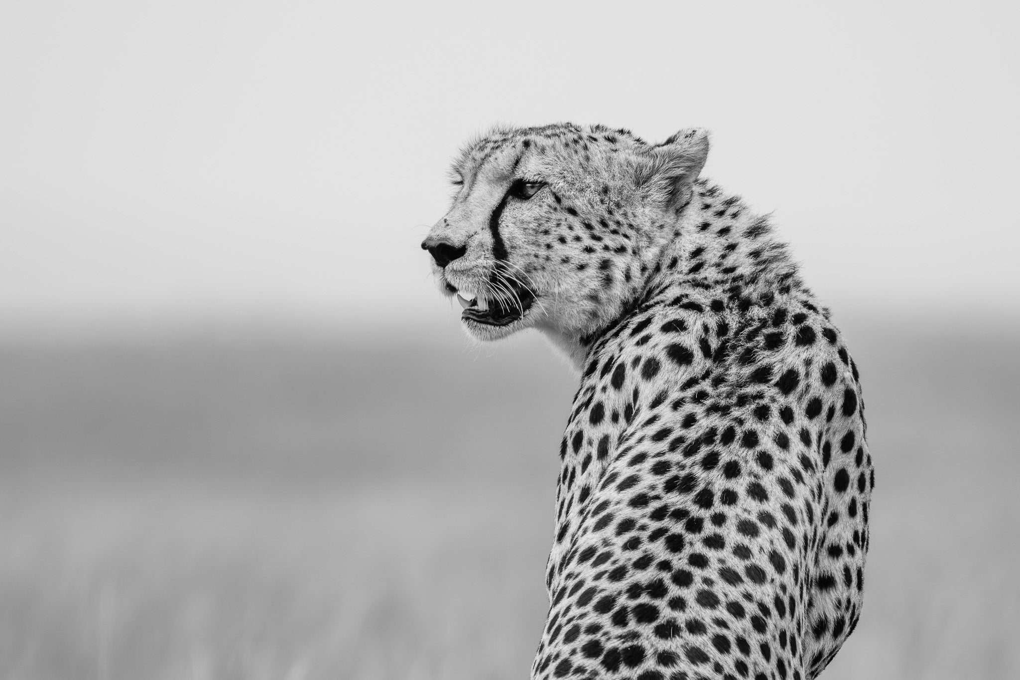 The Interval - Visiting This World