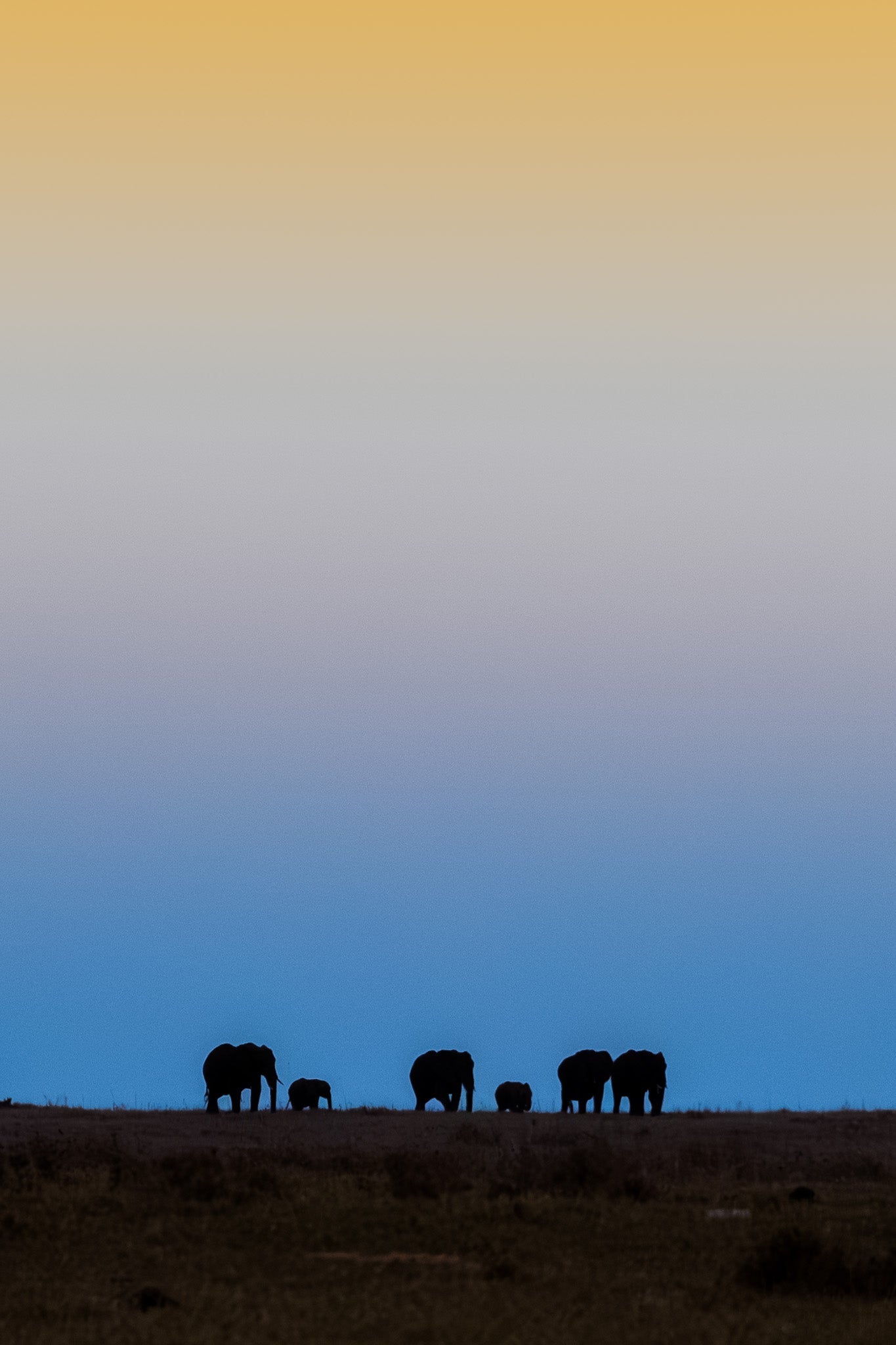 The Outline of Things - Visiting This World