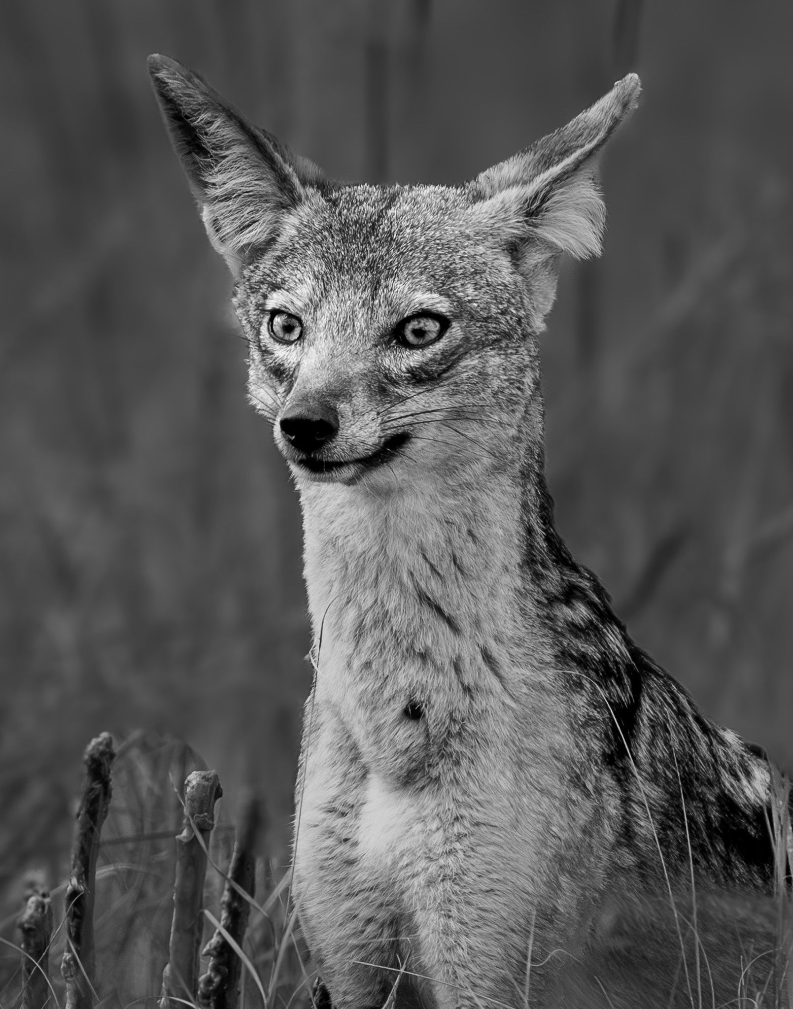 V. Calculation - Visiting This World