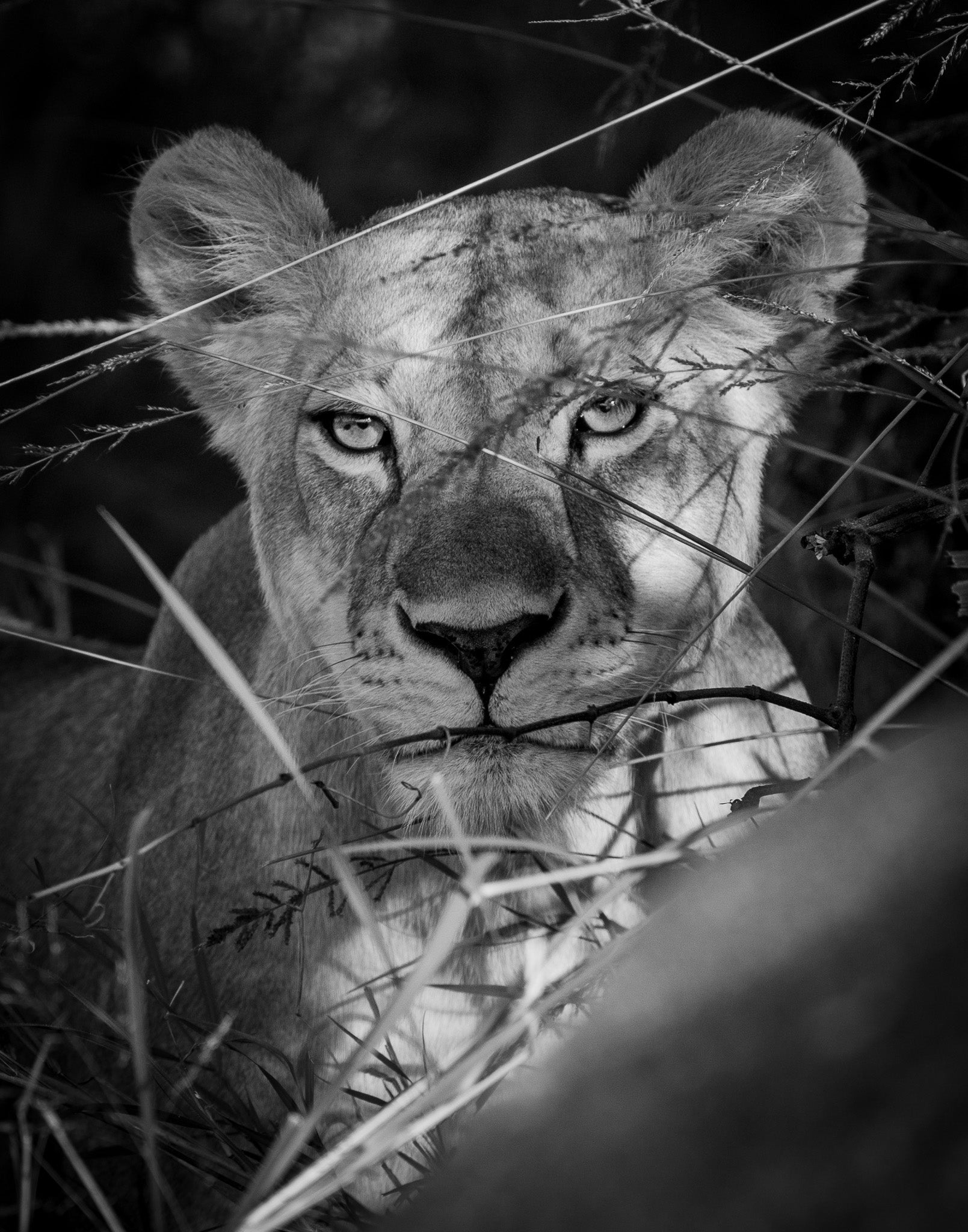 VII. Vigil - Visiting This World