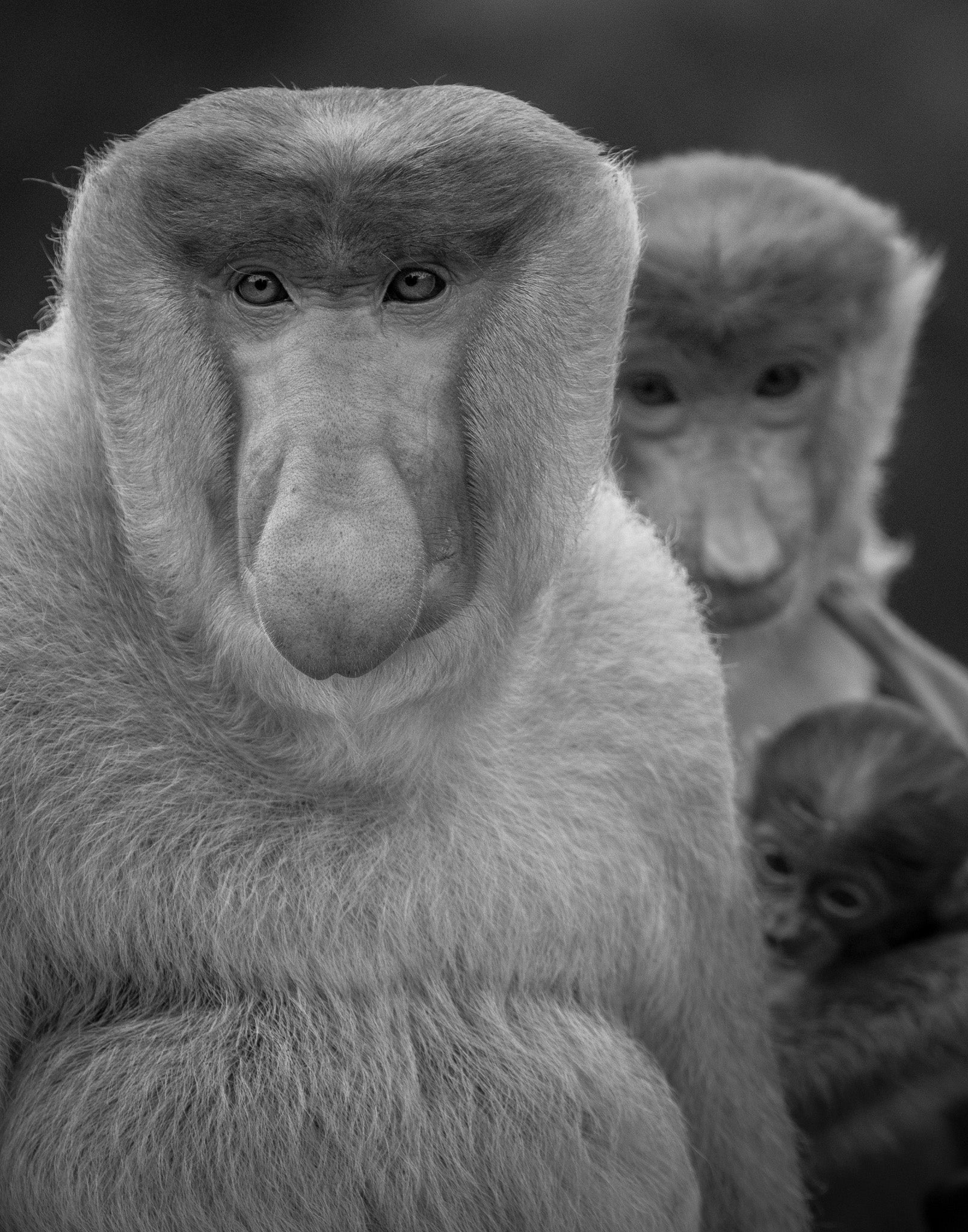 XI. Composure - Visiting This World