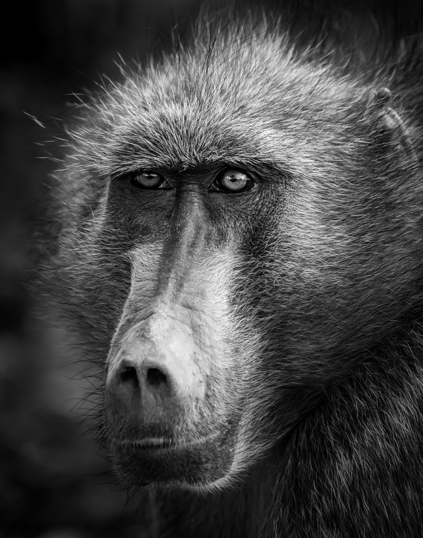 XII. Reckoning - Visiting This World