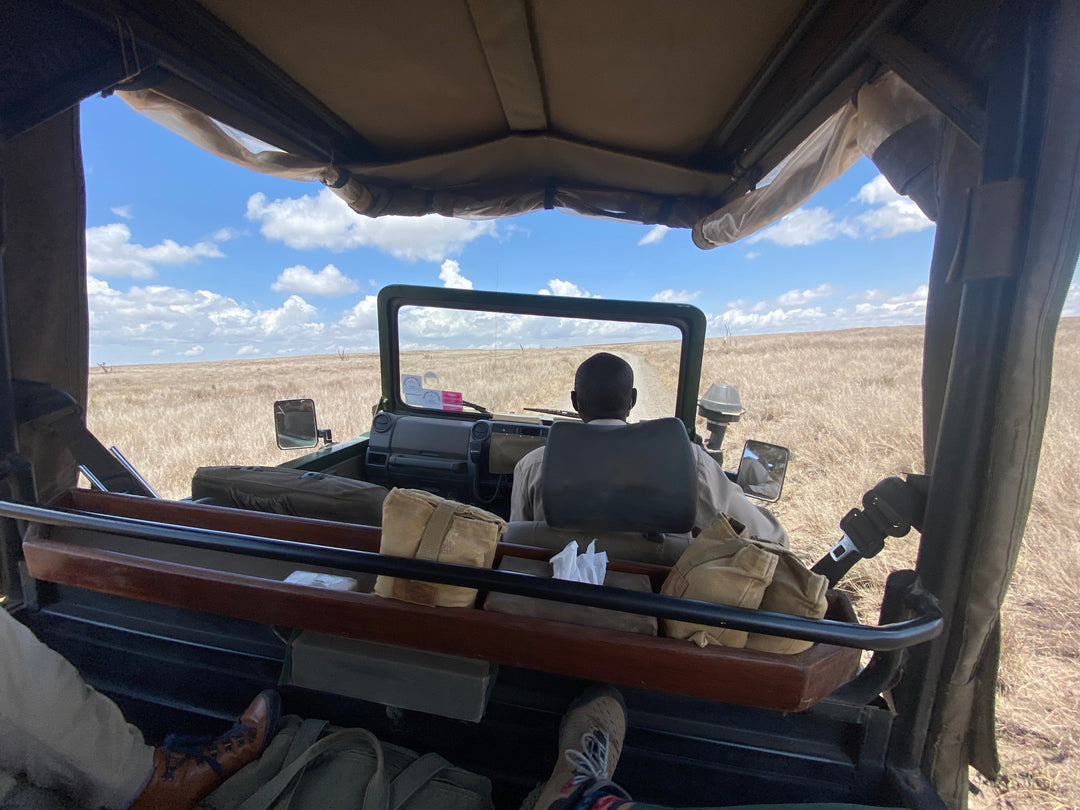 How to Choose the Best Safari Destination and Time to Go