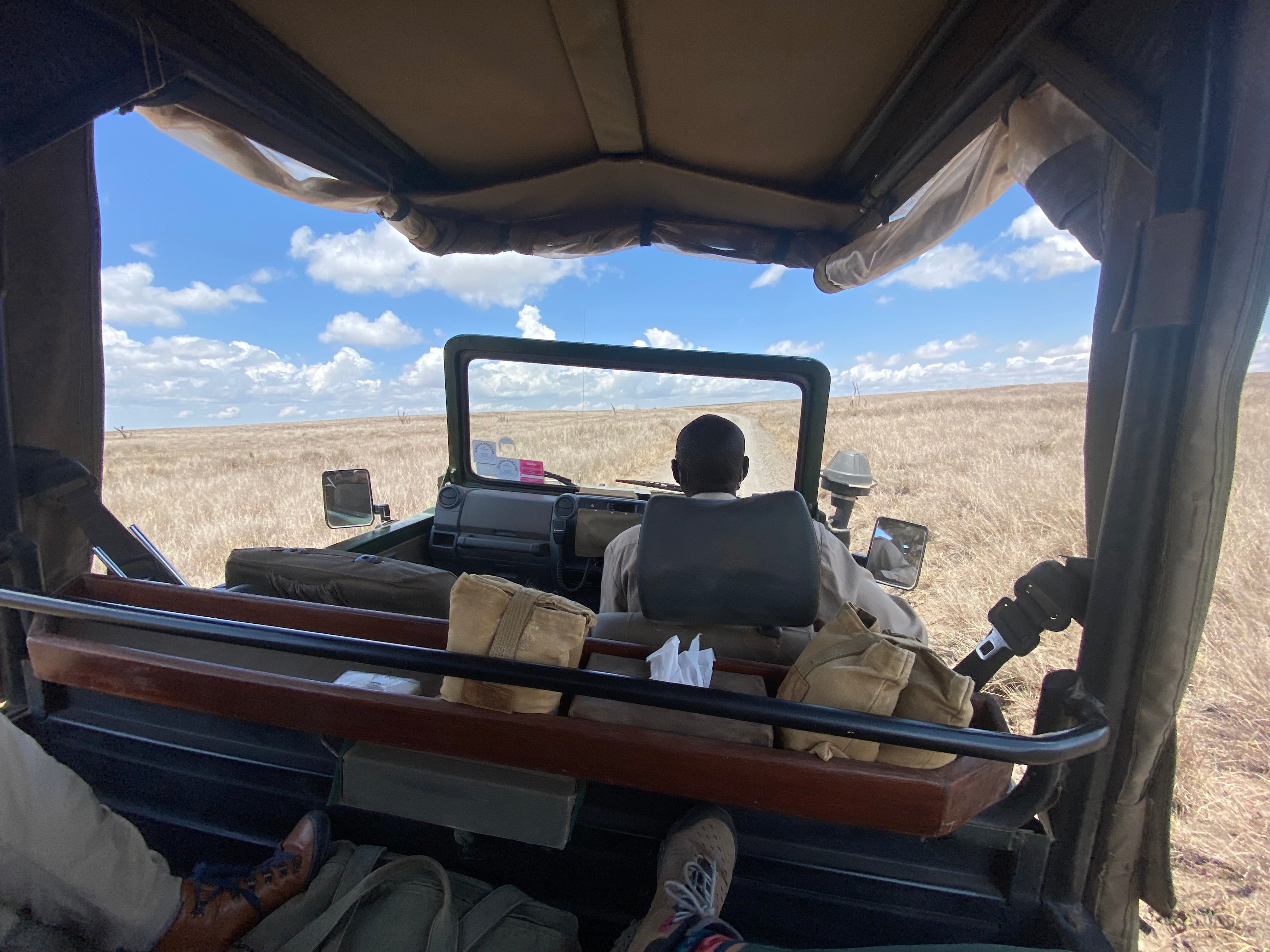 How to Choose the Best Safari Destination and Time to Go