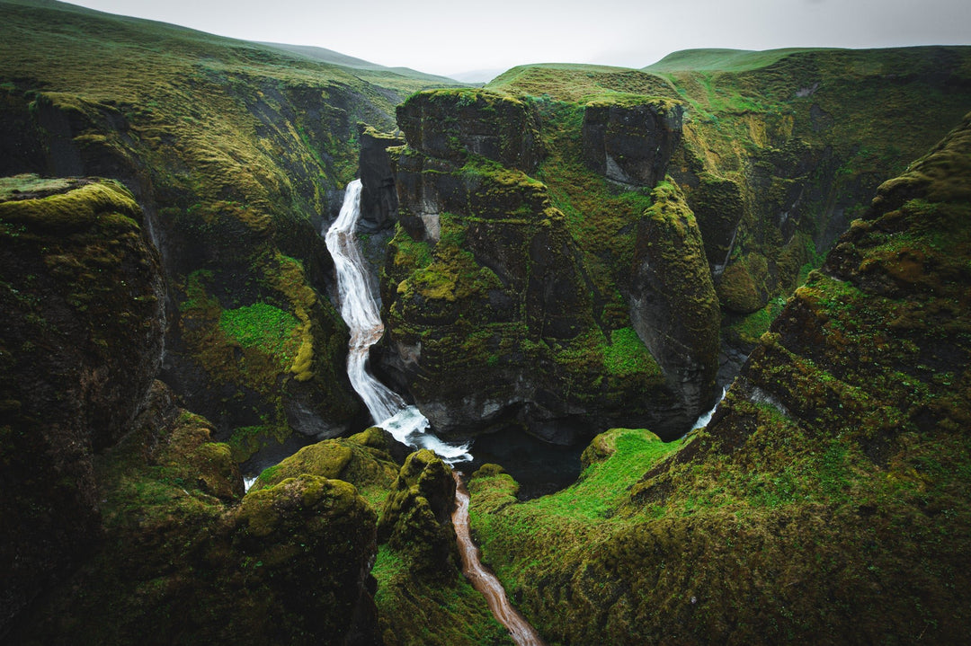 A Green Dream - Visiting This World