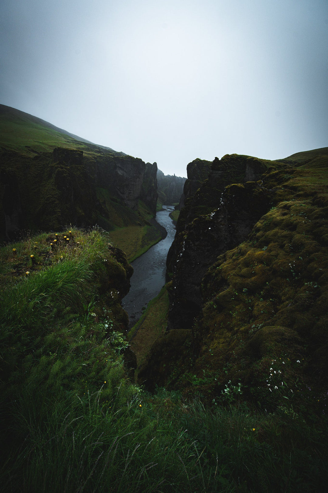 A View of the River - Visiting This World