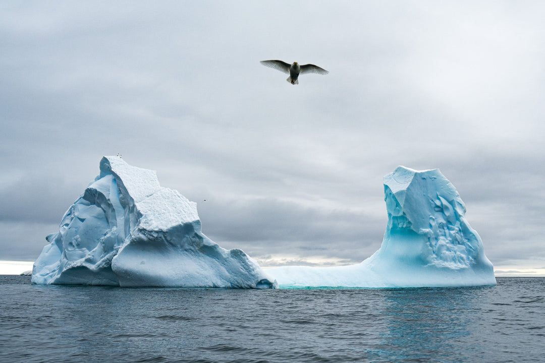 Antarctic Flight - Visiting This World