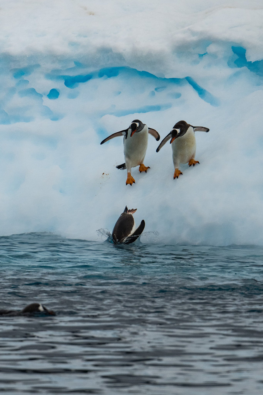 Anticipating the Jump - Visiting This World