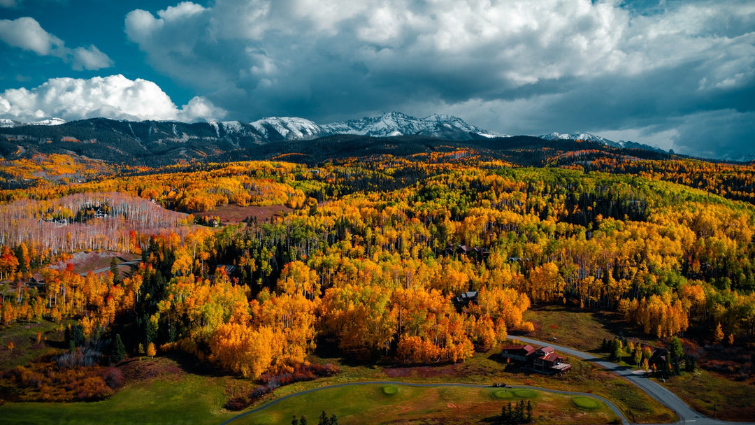 Golds of Autumn - Visiting This World