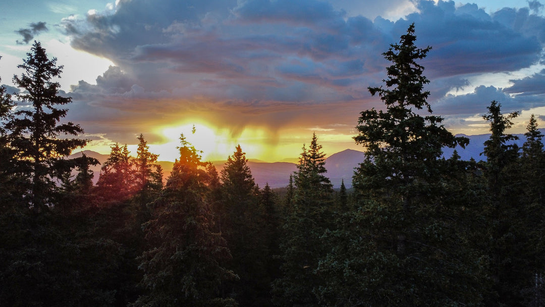 Rainy Sunset Through the Trees - Visiting This World