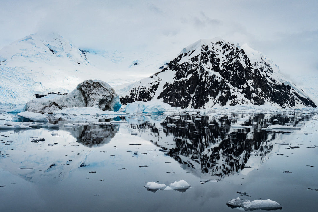 Reflected Calm - Visiting This World