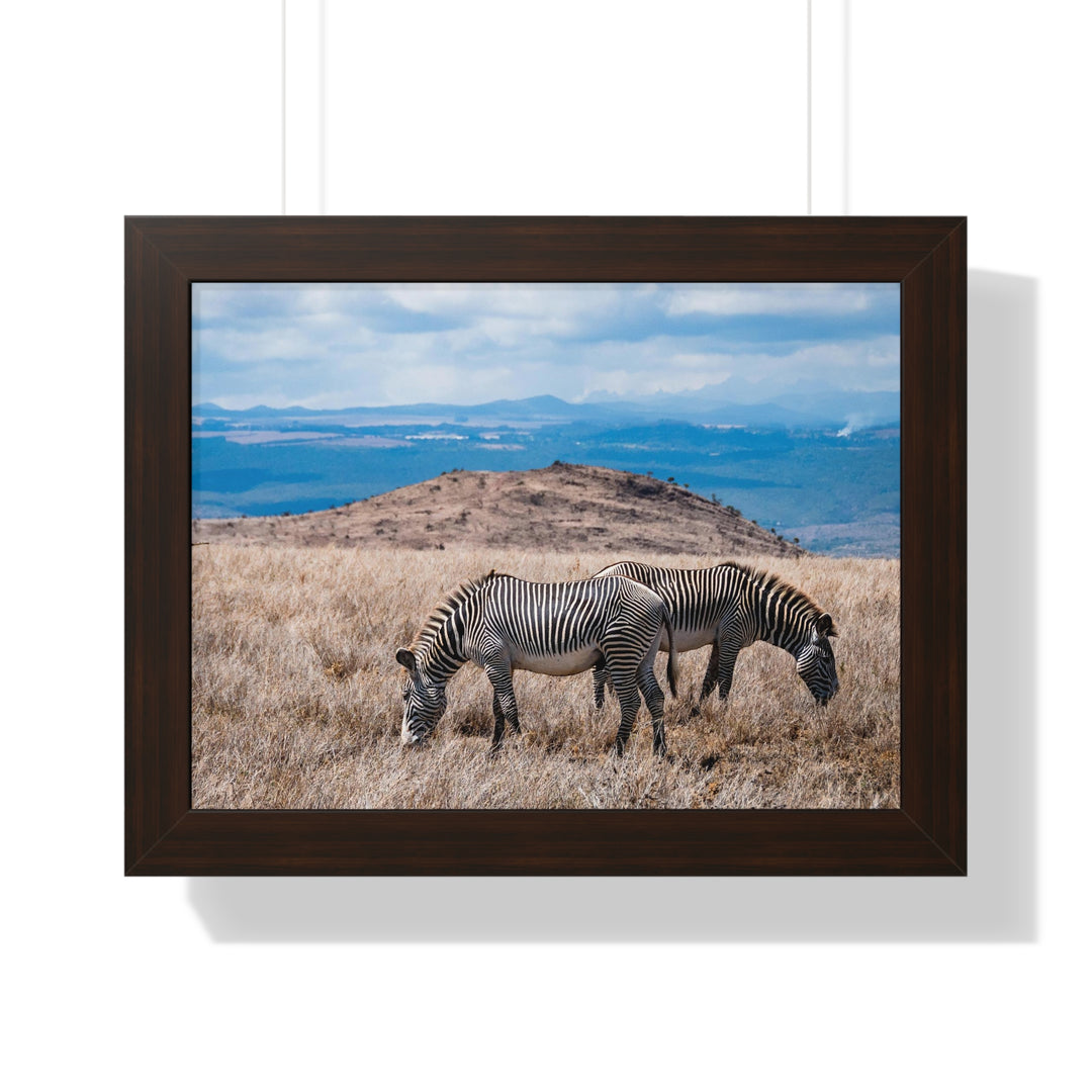 Zebra-Striped Expanse - Framed Print