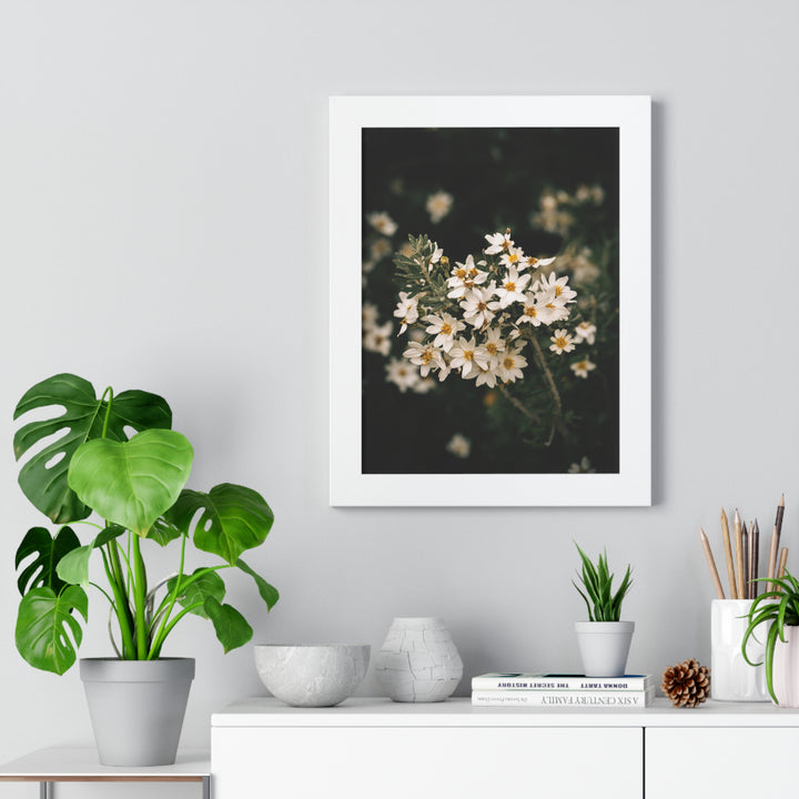 A Touch of White - Framed Print