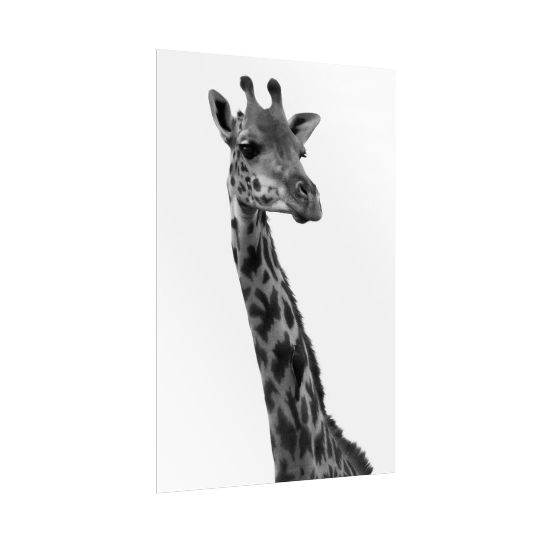 Giraffe Portrait in Black and White | Rolled Unframed Print | Elemental Escape Collection