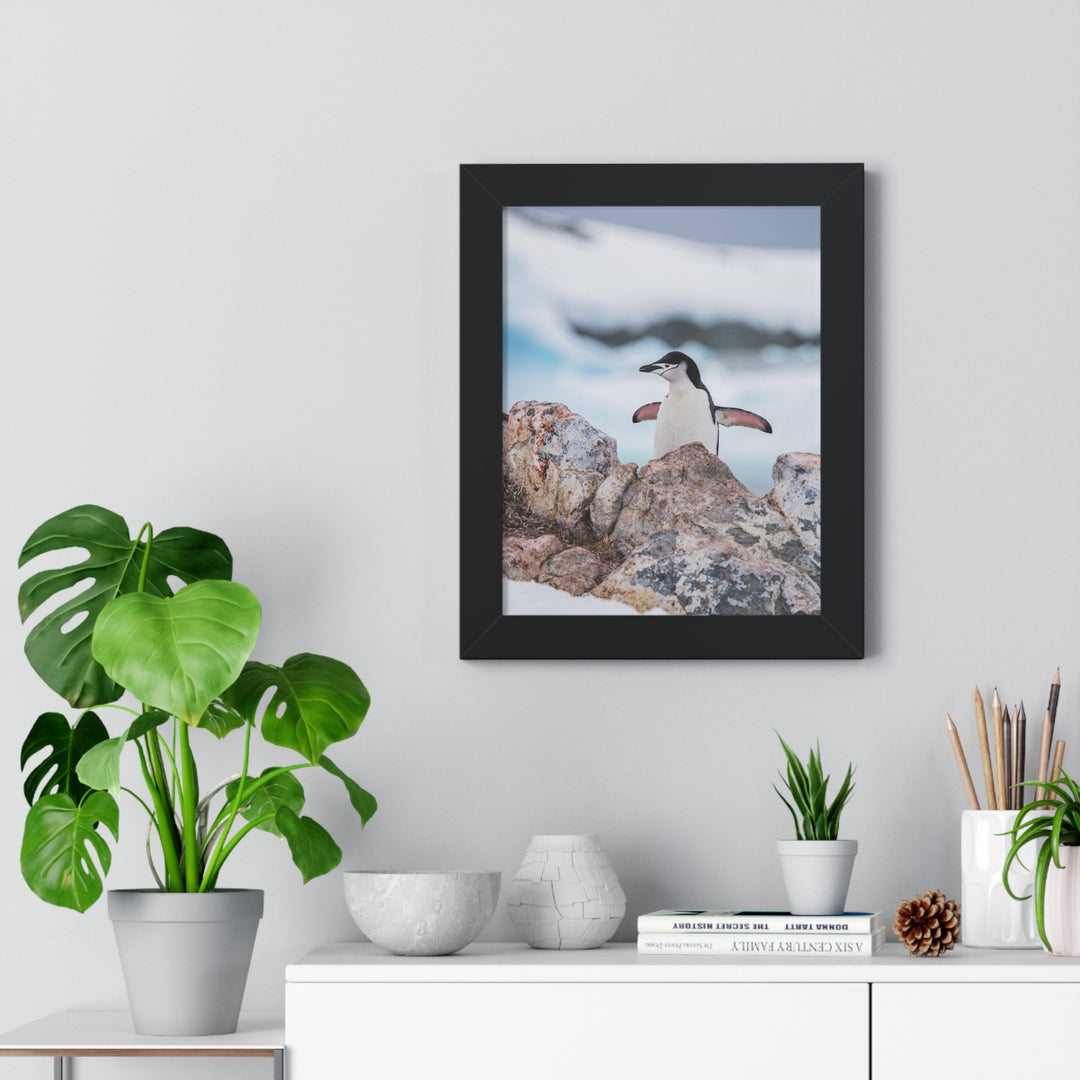 Stretched Penguin - Framed Print