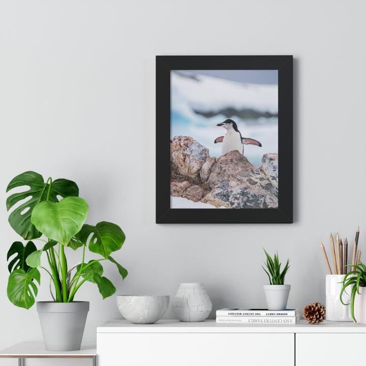Stretched Penguin - Framed Print