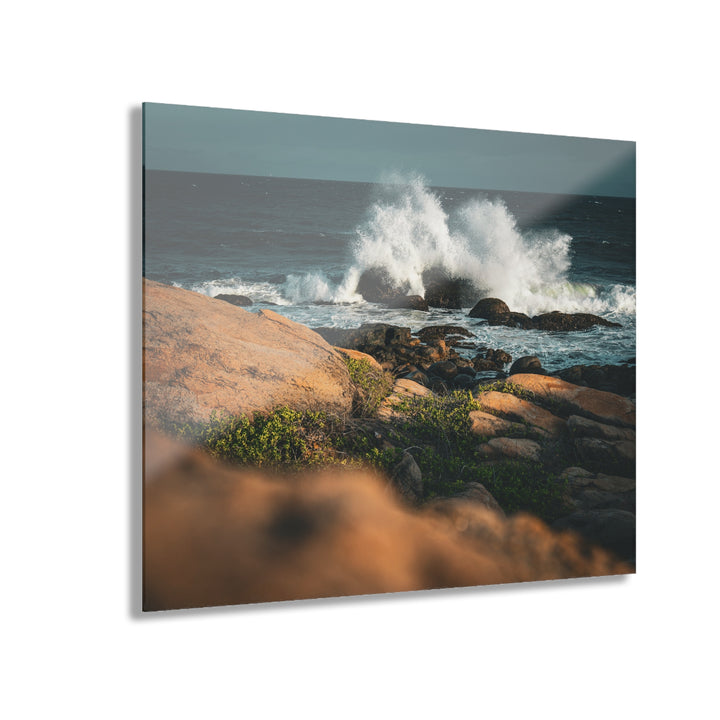Resilience | Acrylic Wall Art Print | Elemental Escape Collection