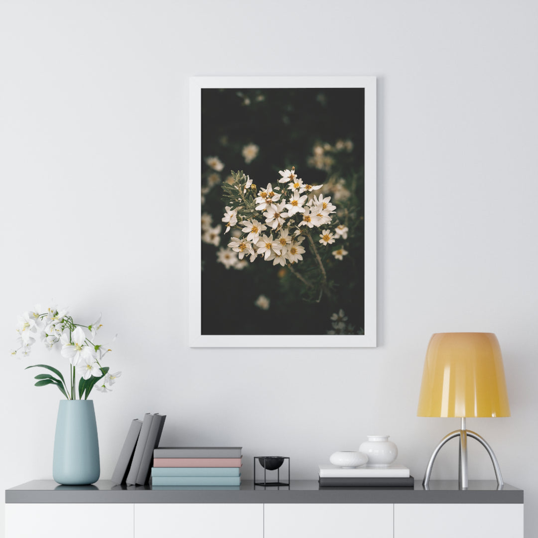 A Touch of White - Framed Print
