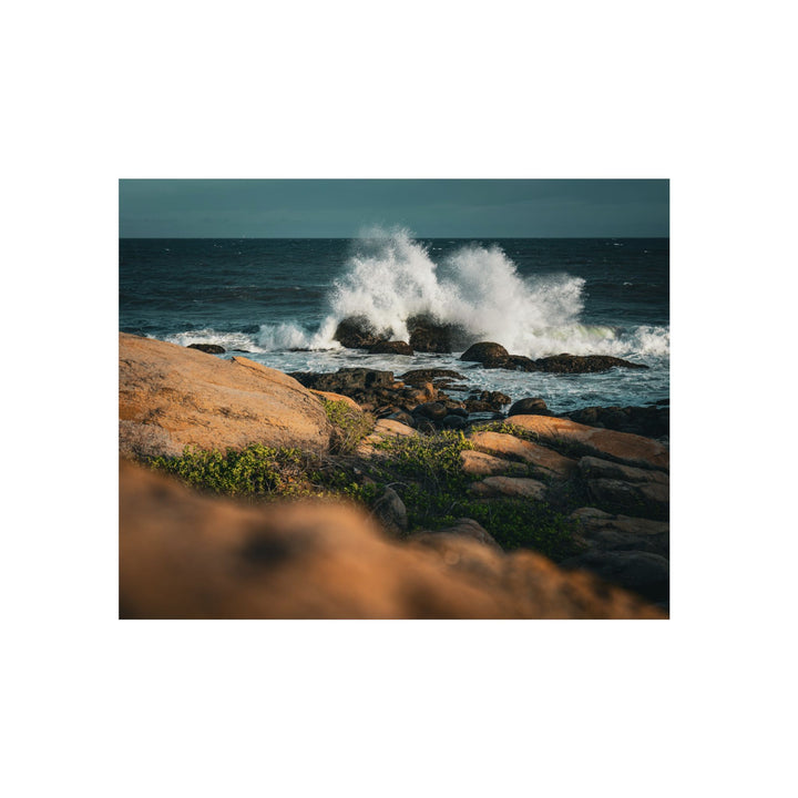 Resilience | Aluminum Wall Art | Elemental Escape Collection