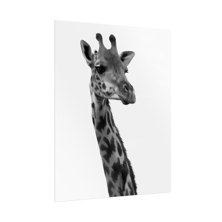 Giraffe Portrait in Black and White | Rolled Unframed Print | Elemental Escape Collection