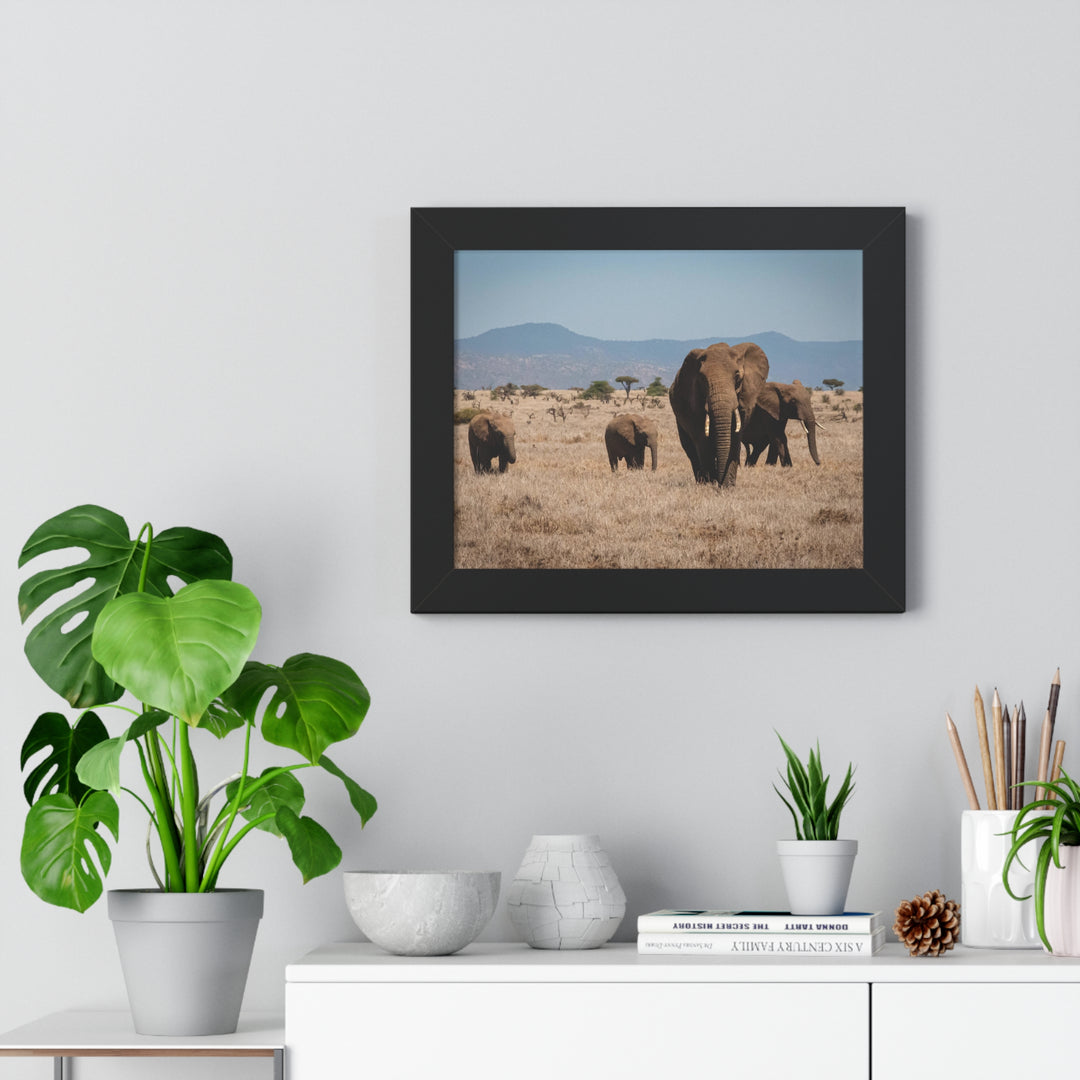 Family March - Framed Print