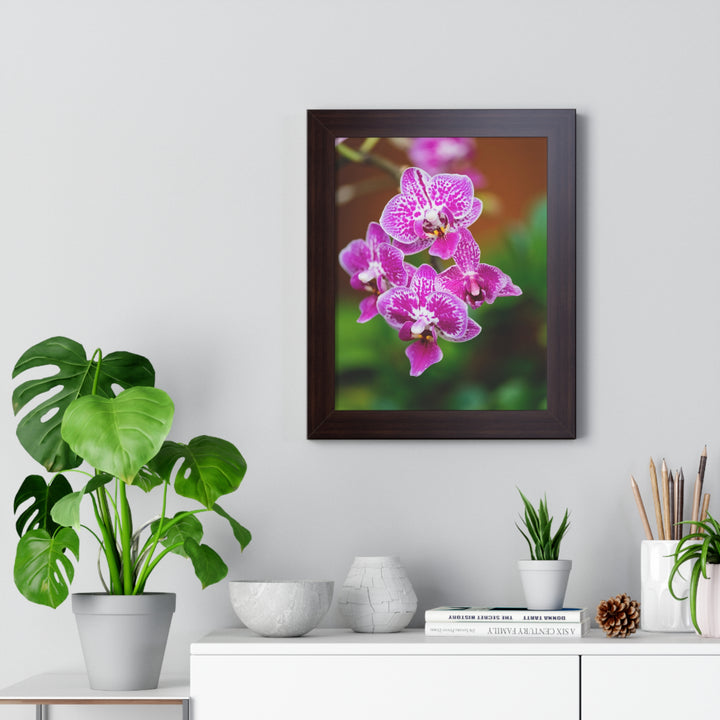 Spotted Orchid - Framed Print