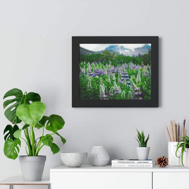 Glowing Lupin with Mountains - Framed Print