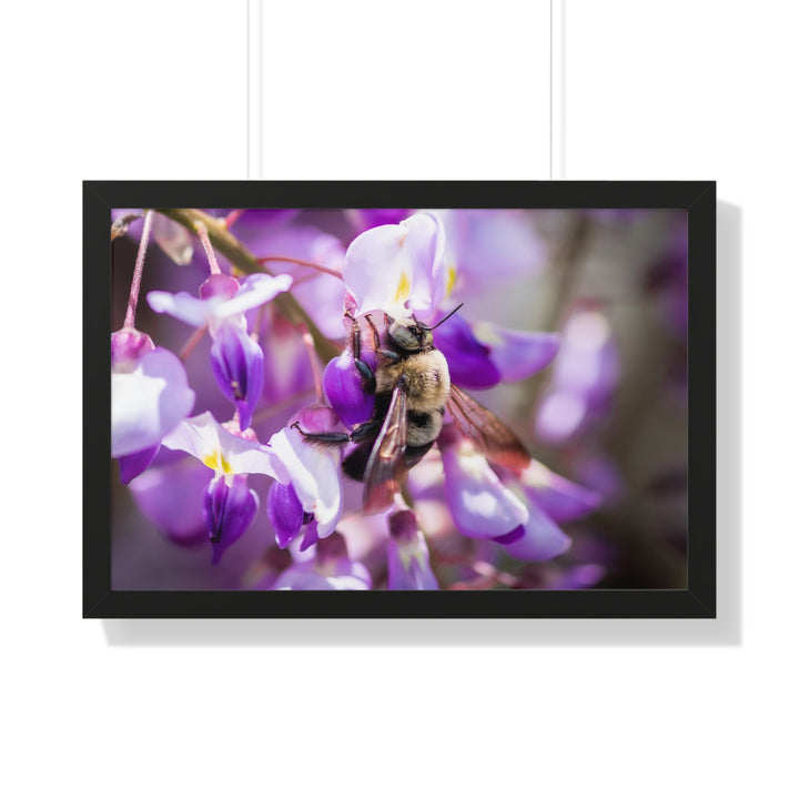 Hungry Visitor - Framed Print