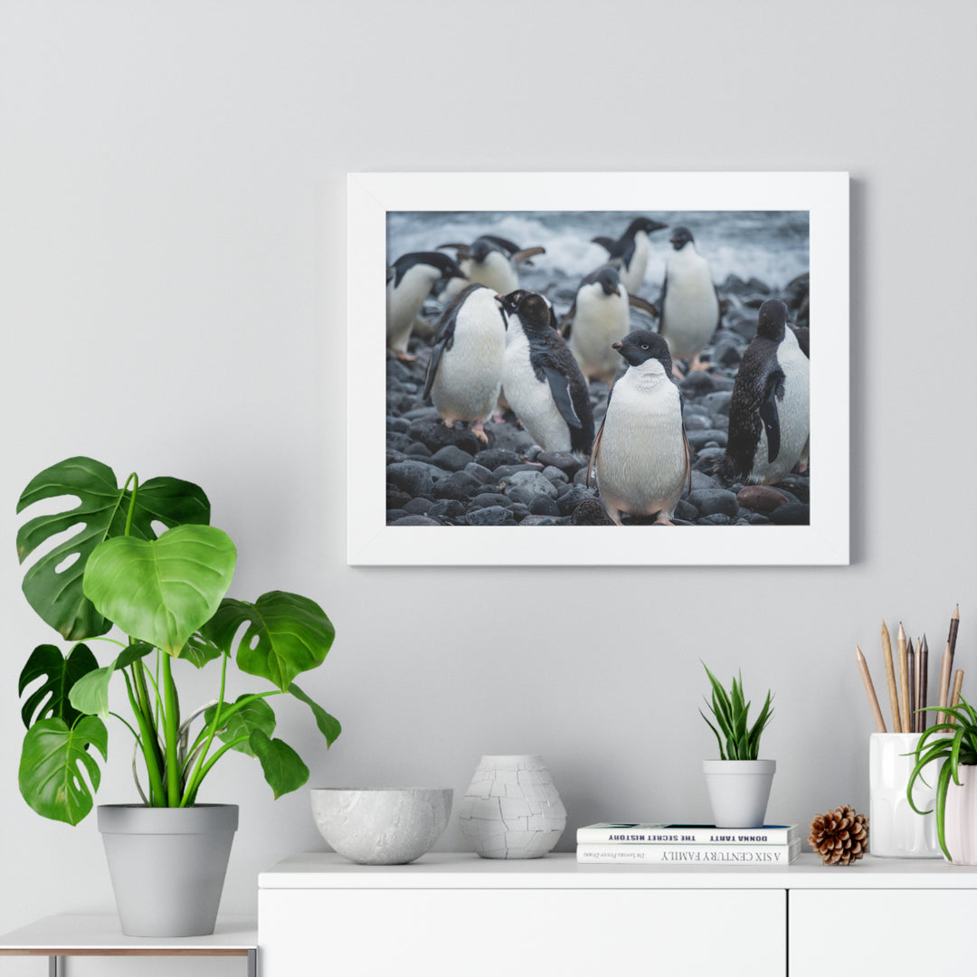 Drying Out - Framed Print