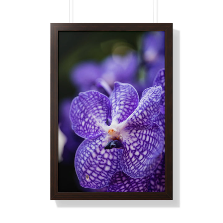 Orchid Detail - Framed Print