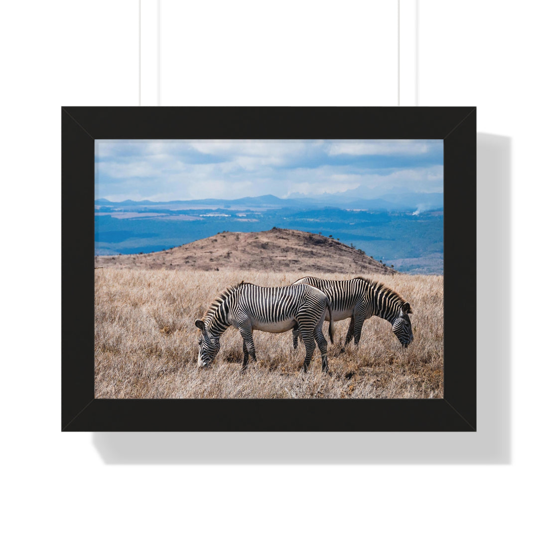 Zebra-Striped Expanse - Framed Print