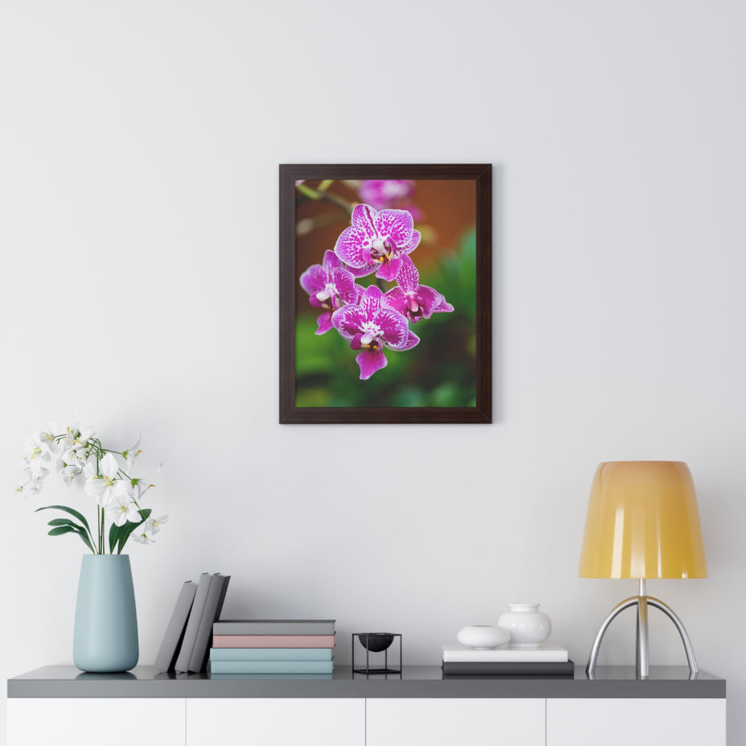 Spotted Orchid - Framed Print