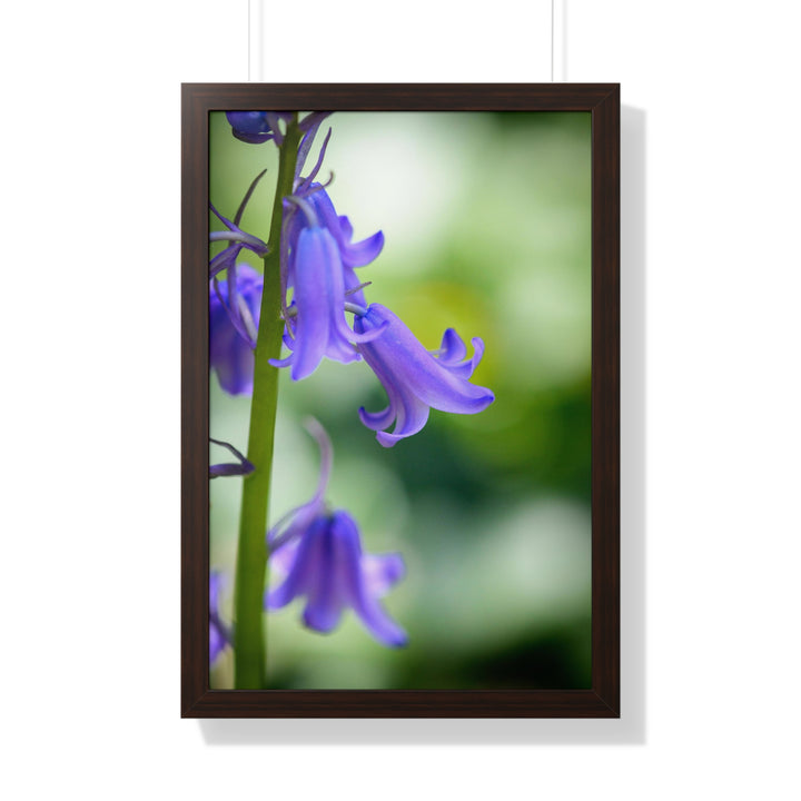 Delicate Bell - Framed Print