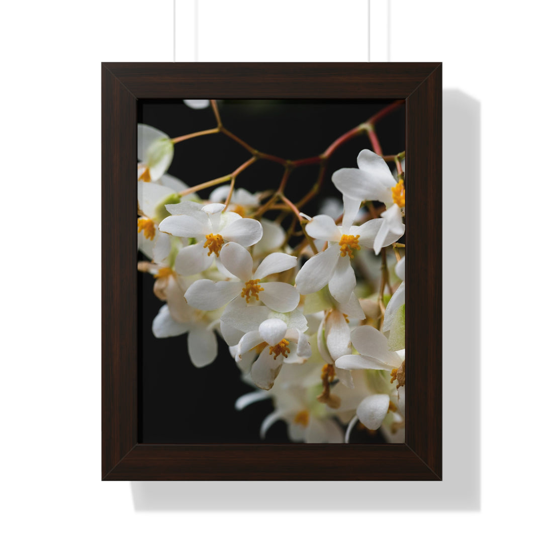 Floral Network - Framed Print