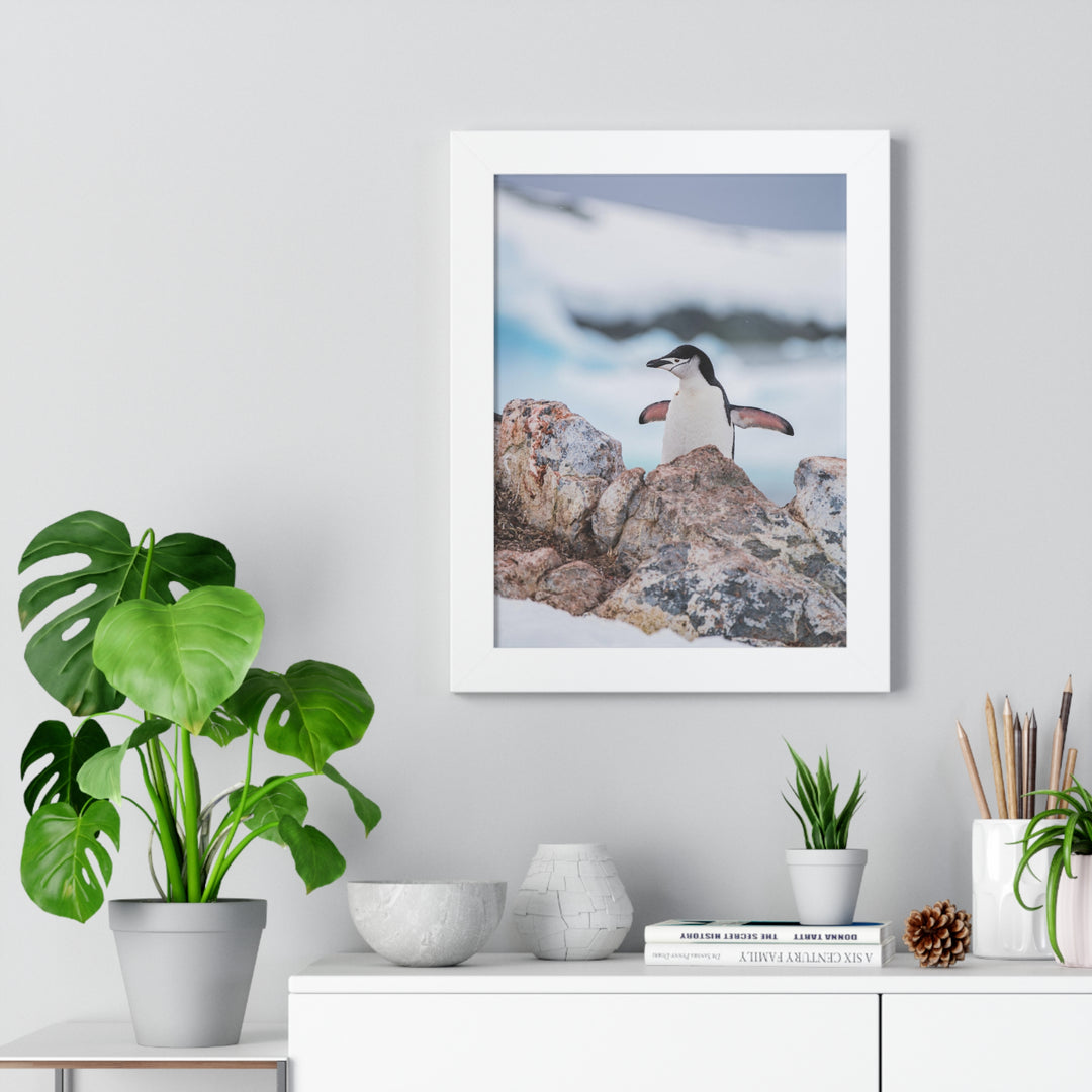 Stretched Penguin - Framed Print