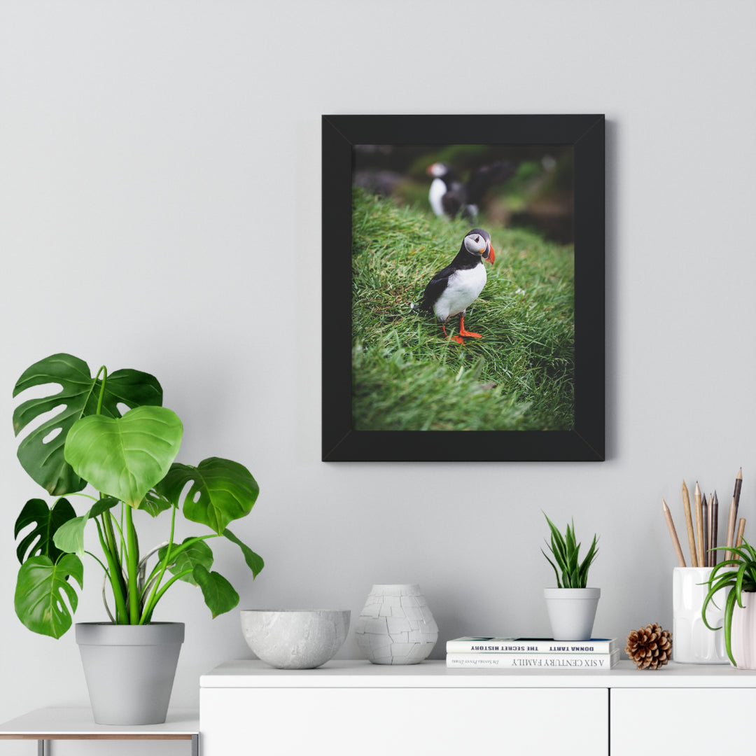 Curious Look - Framed Print