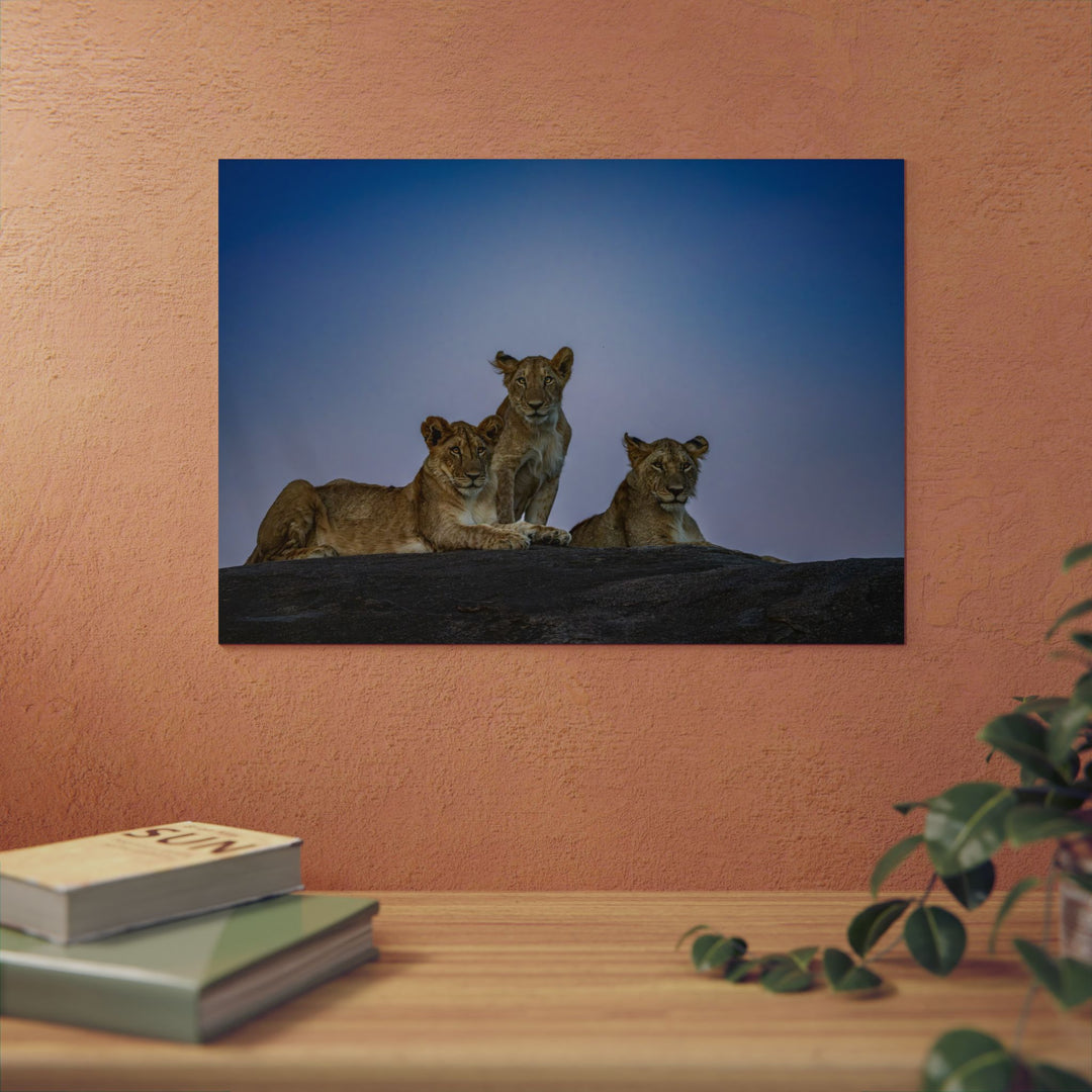 When the Light Fades Blue | Aluminum Wall Art | Elemental Escape Collection