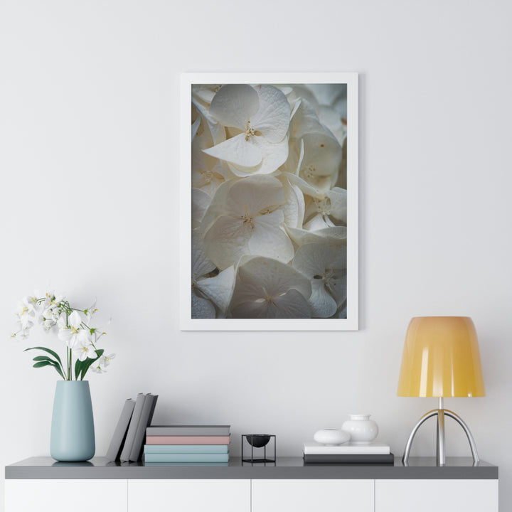 White Hydrangea Detail - Framed Print