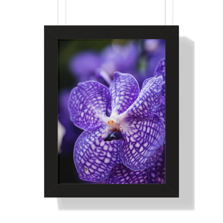 Orchid Detail - Framed Print