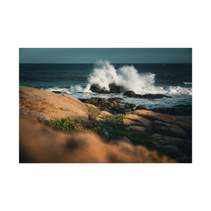 Resilience | Rolled Unframed Print | Elemental Escape Collection