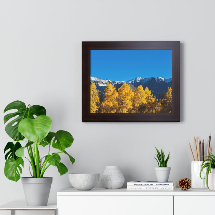 Golden Glow - Framed Print