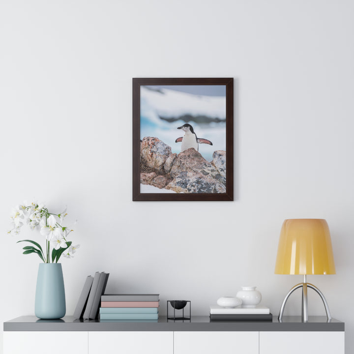 Stretched Penguin - Framed Print