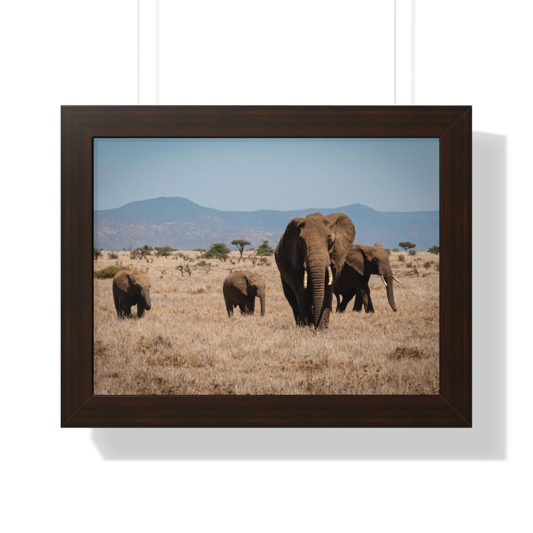 Family March - Framed Print
