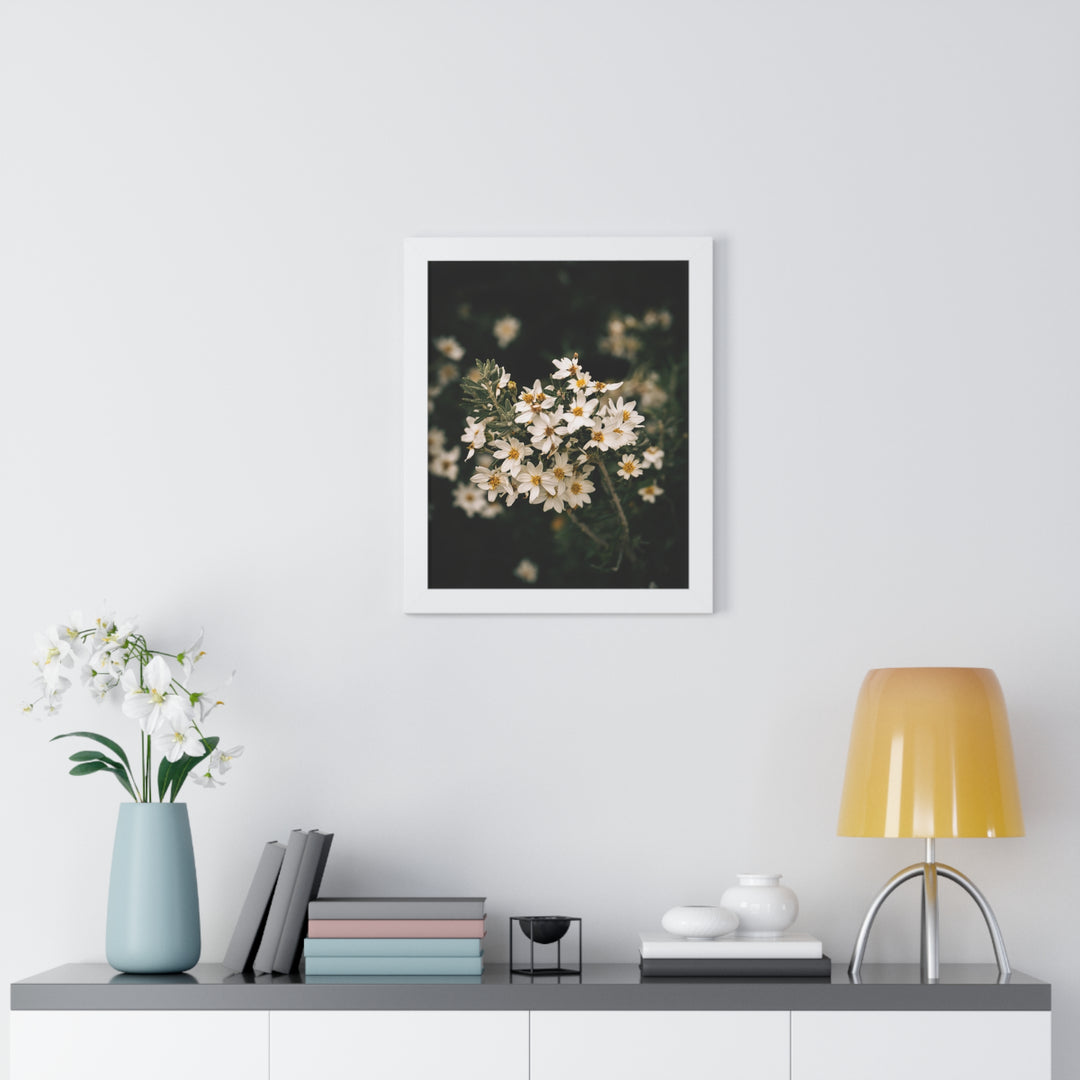 A Touch of White - Framed Print