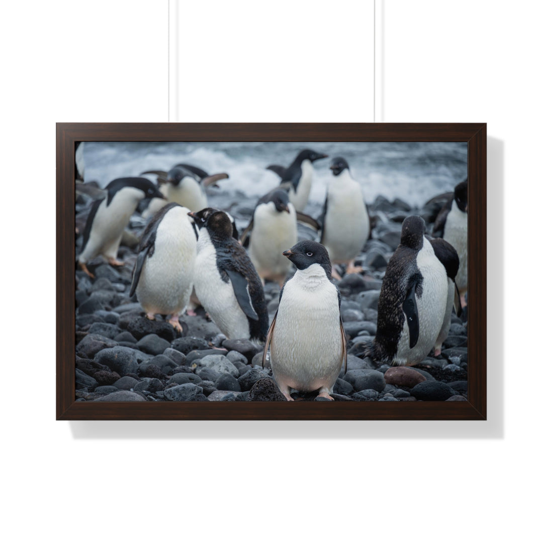 Drying Out - Framed Print